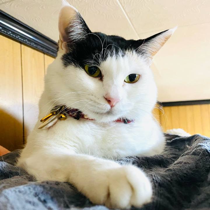 B3088279 557e 4ce8 9126 cf1a315db069 1710344810954