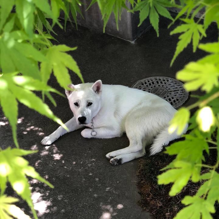 B3088b31 260e 443f ab59 129c589857ae 1524110408841