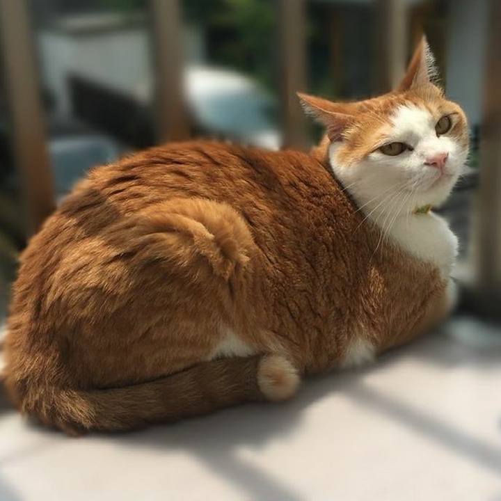 B3089795 ecdf 480e 962b 8992894d259a 1532002734163