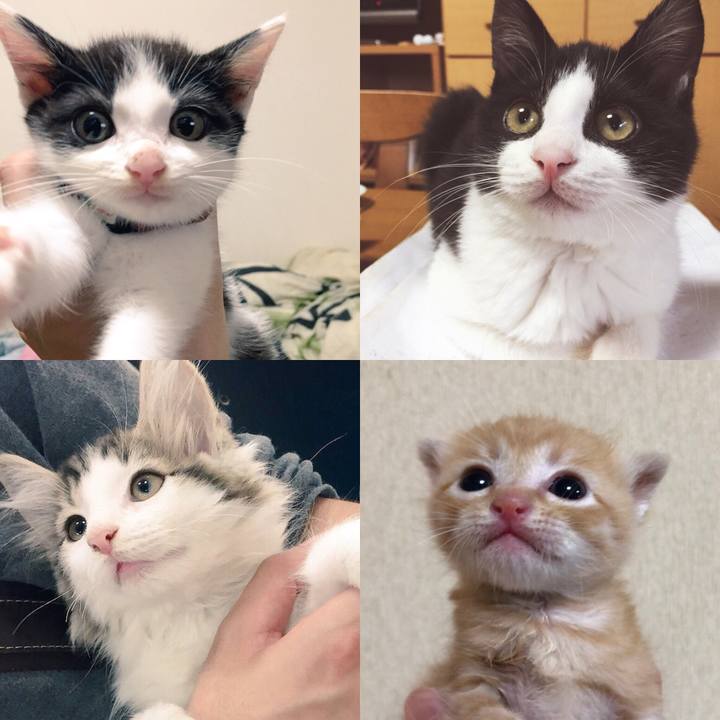 B308aeed 70f7 4fec 8bc3 42d8ae75fe0a 1559828150346