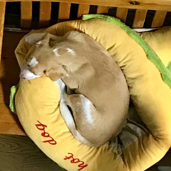 B308b0cd faa8 4458 9646 597cc0d535d0 1534861755157