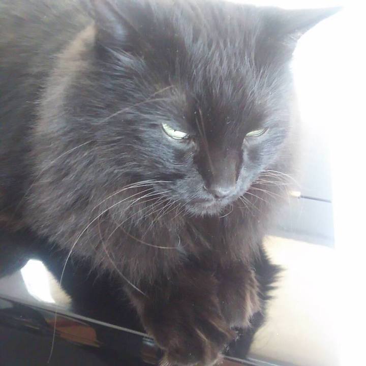 B308b59b 5947 415b a4bf 4c1a0d3957ef 1541814813028