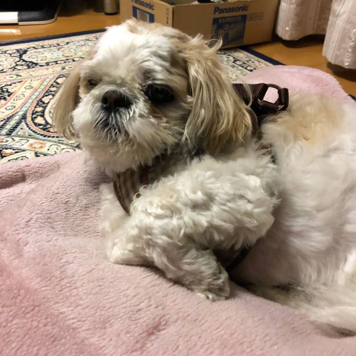 B308d45d a3a8 46d5 bb5f 2f8cff1daabe 1524520181644