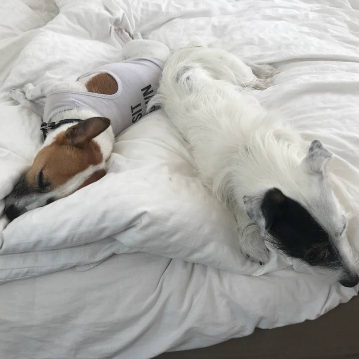 B308e8a5 e313 4247 a2f6 d218a2667f24 1533179005342