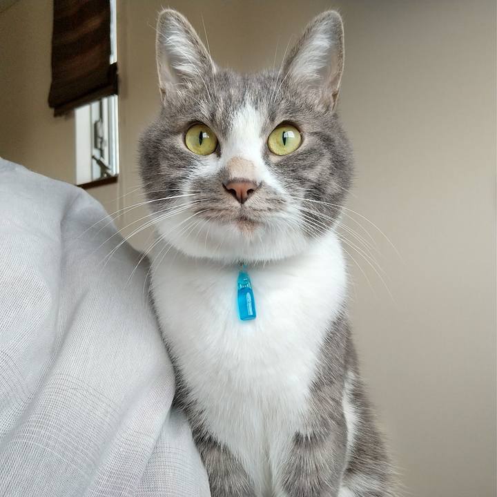 B308efb8 3874 4900 bc98 dfce6e5c69de 1604183467620