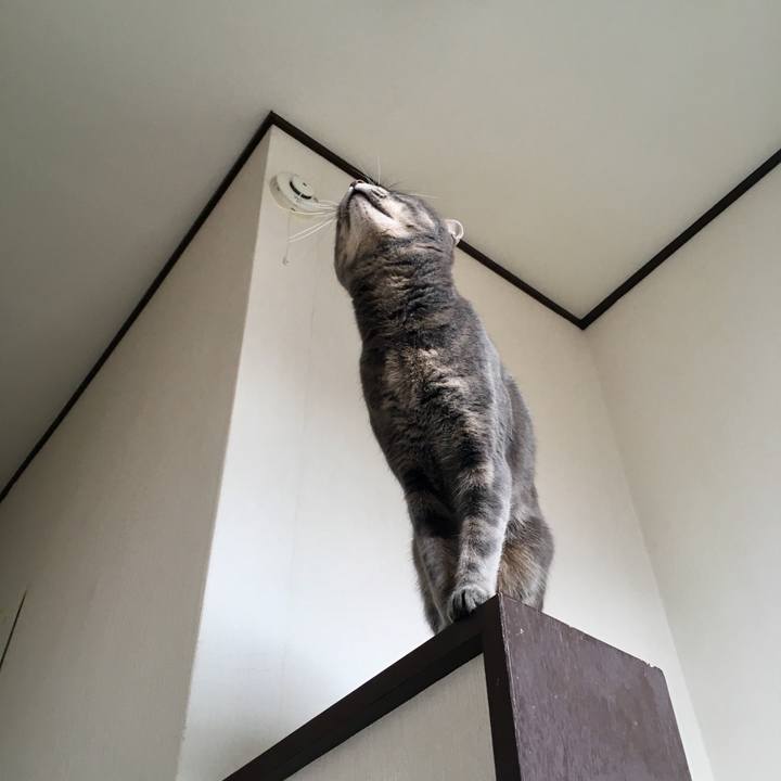 B30900e4 ba2c 4ed4 9438 e1d5b6fc0c0a 1553995298434