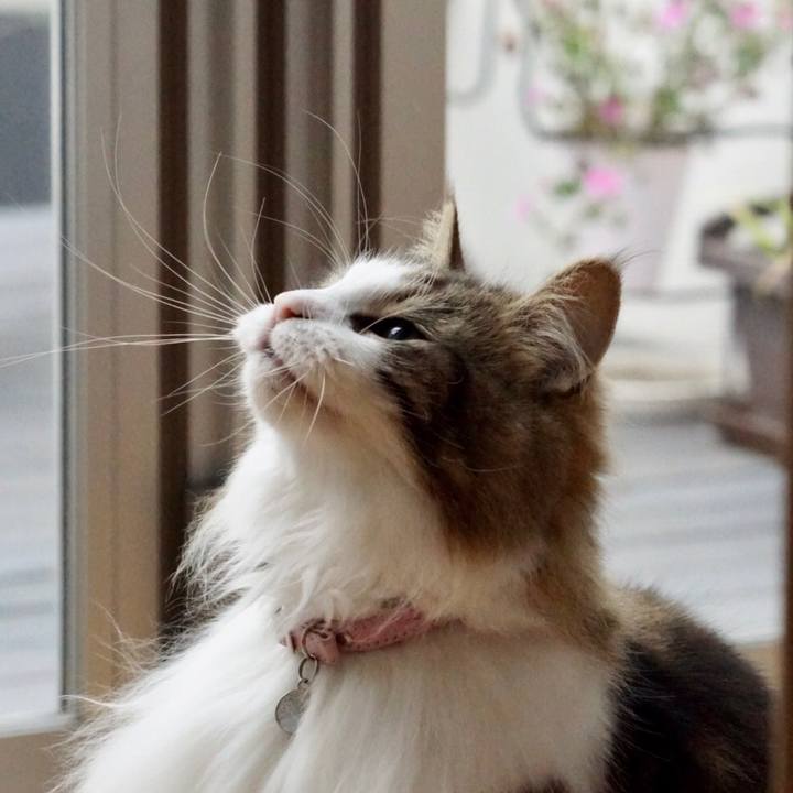 B3090240 407f 482e b74f 59e6dc995cfc 1561177362935