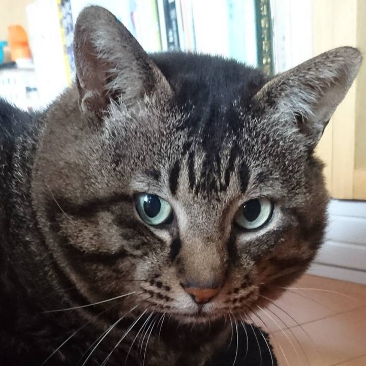 B309068b 4dc7 4def 9cf2 973fb2e31e43 1532159058598