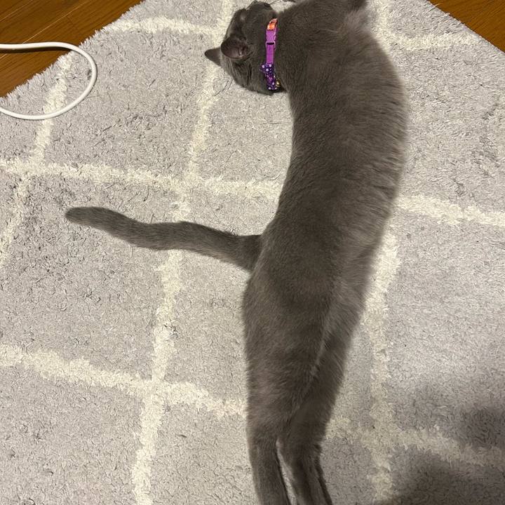 B3091e4d 166d 4a21 9c39 735d85eae5ad 1758711678580