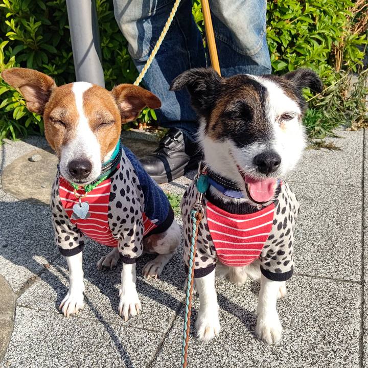 B3095857 8767 4c08 bab5 261f0cc684dc 1718422076166