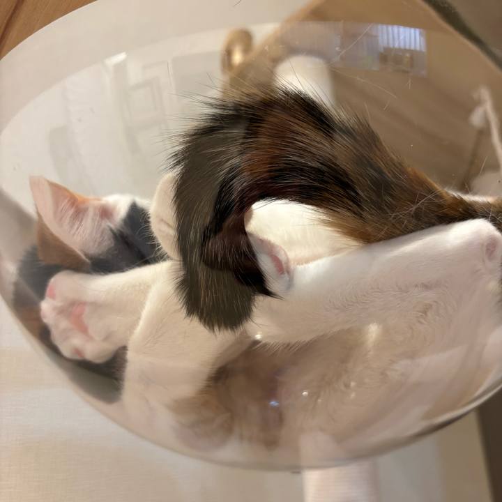 B3099769 feb8 4bf0 9124 8bd856d1d0b2 1770714390151