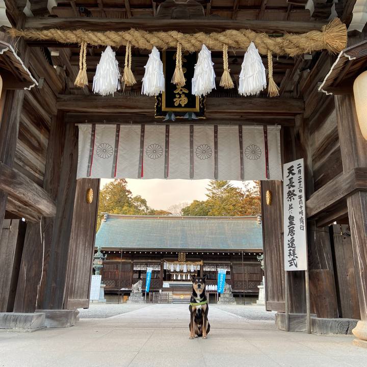 B309a436 9b85 43ec b3e3 7991c63ea36a 1644753665140