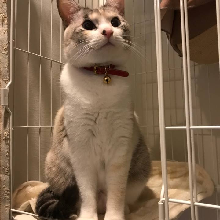 B309b10f c390 469f b221 61f64a6c9d62 1515760058108