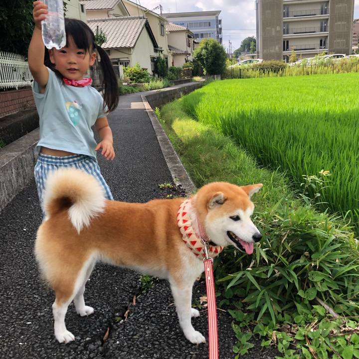 B309c5e1 7648 46f3 a1f0 c20bbd45c560 1627532727442