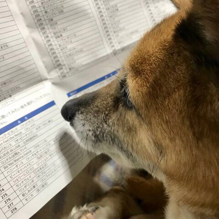 B309ef5d 7204 4beb 8b55 018dd806e62b 1522240229740