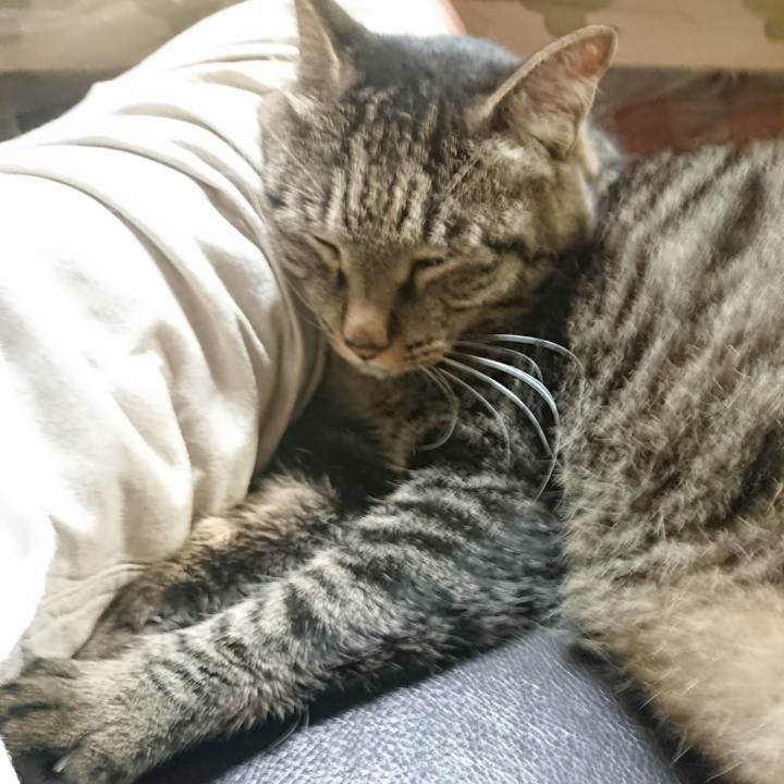 B30a5b4d e101 4ed7 9bd2 ddd7fce4d0c6 1659096527977