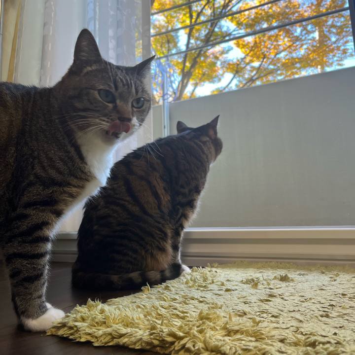 B30aac60 b4e4 45cd 8e6d 9953eea1877b 1733374610444