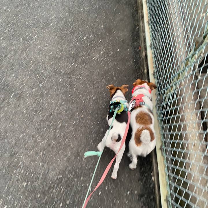 B30add05 210f 4689 93b2 bb8143a4705a 1748175440571