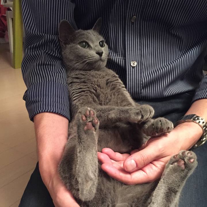 B30ae21f 7682 479c bd67 07b2da0954fe 1528326095882