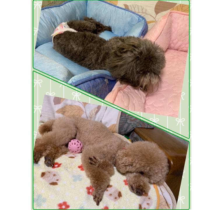 B30b053a cae0 48ec ae1a a83932d2670a 1567868133284