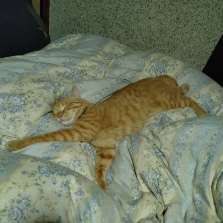 B30b103b 91be 4afb 8bfe 348442577345 1663421158344