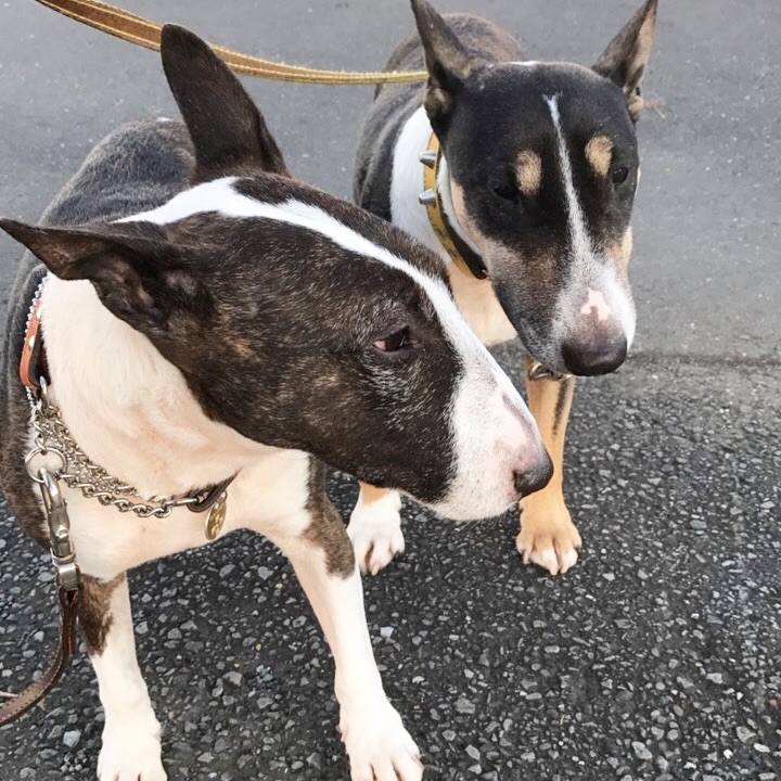 B30b147e 7816 4949 a748 84b65fd40ceb 1509349667435