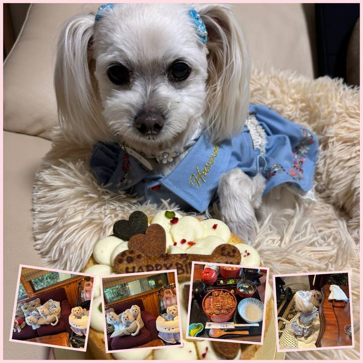 B30b48b0 2b09 4617 8084 fb354b2013a0 1774428383823