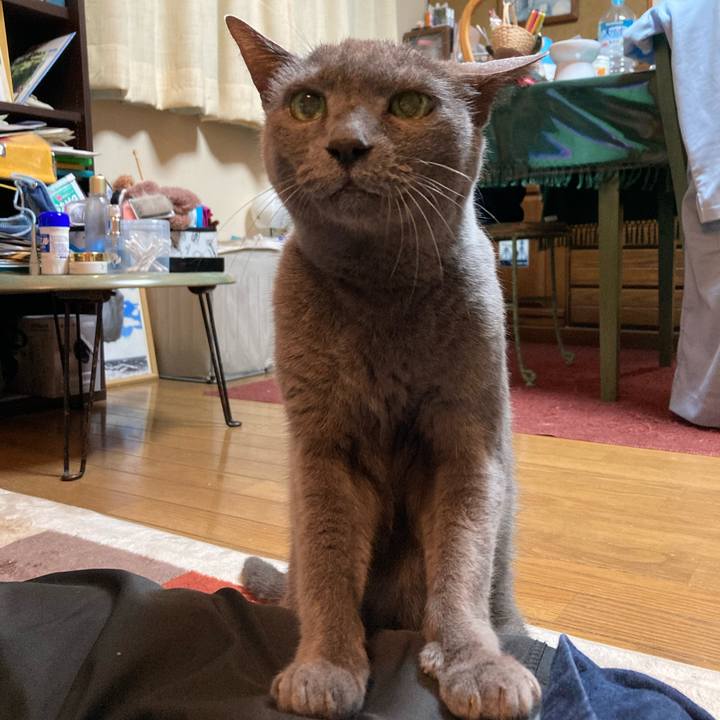 B30b4a53 e92d 43b8 858f 1b6bf9c029f8 1628583775283