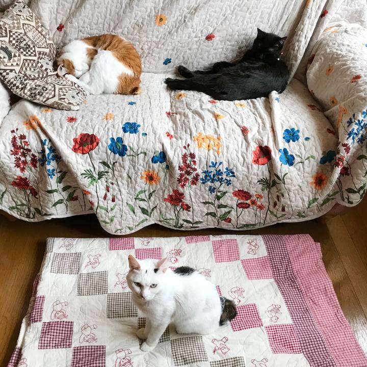 B30b4c5a 834c 43f6 bc64 68d6371be620 1584667872588