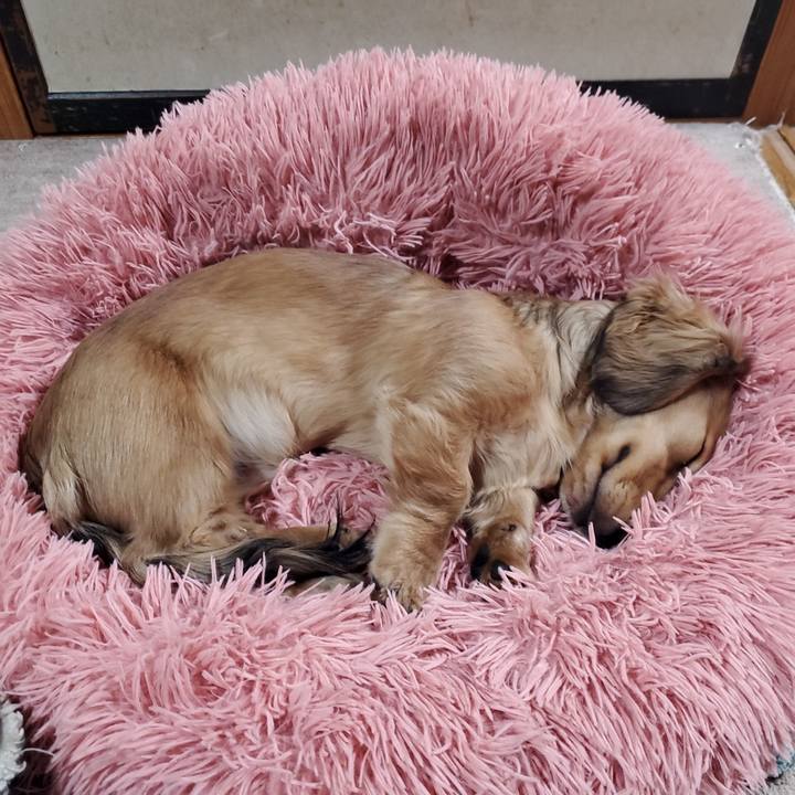 B30b641e f34e 48ca b982 9859d67ad359 1769385060369