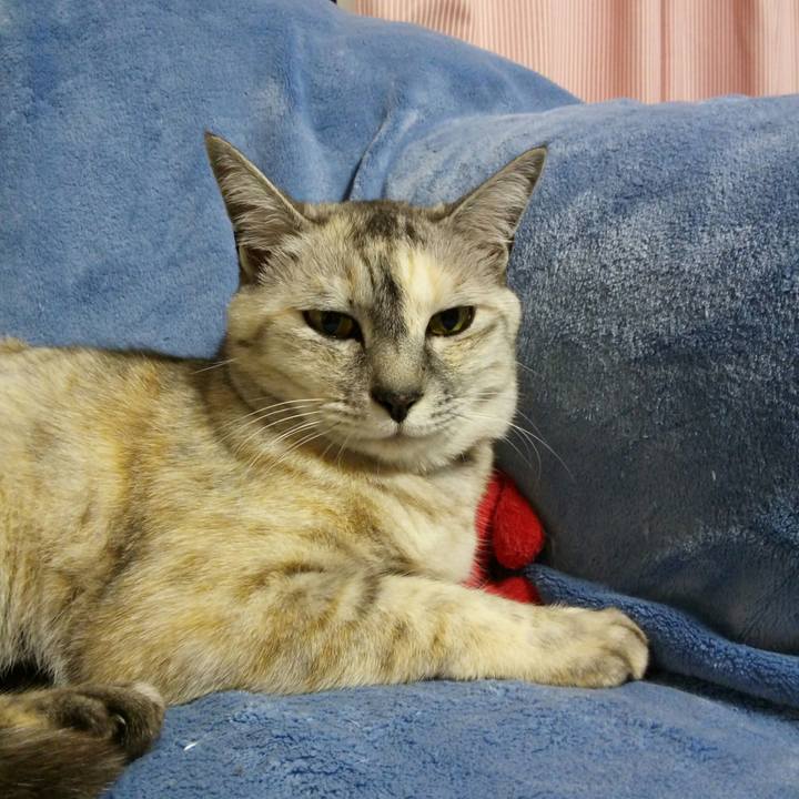 B30b74c8 4494 4ba0 b219 643ab7bf5241 1526648937124