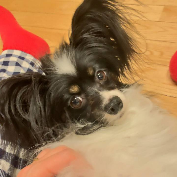 B30b9046 5ea0 4ed2 a0b7 71fd6853ffe2 1580551452354