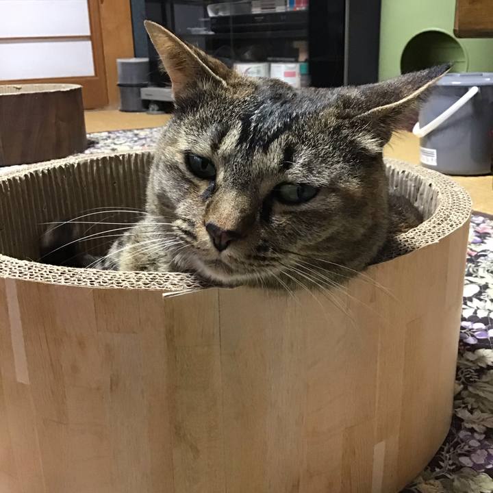 B30ba6e7 02d7 443b 8056 c592cab9898a 1719724242059