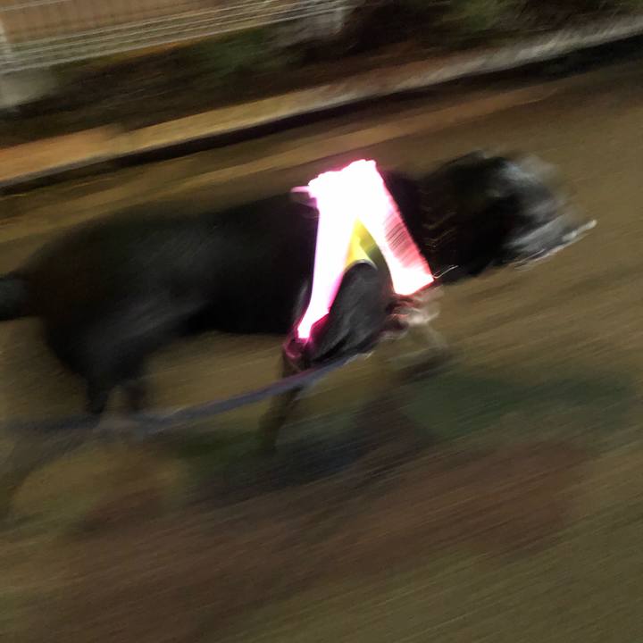 B30bb346 b893 437a b934 42c3dce7cb3e 1602334165111