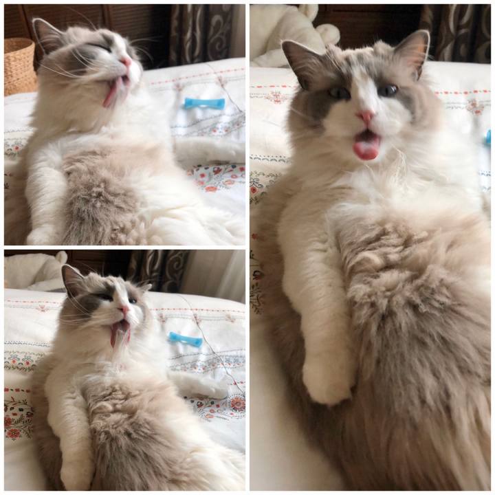 B30bb9fd 6dc8 4eae bc24 96037e88d512 1587440826571