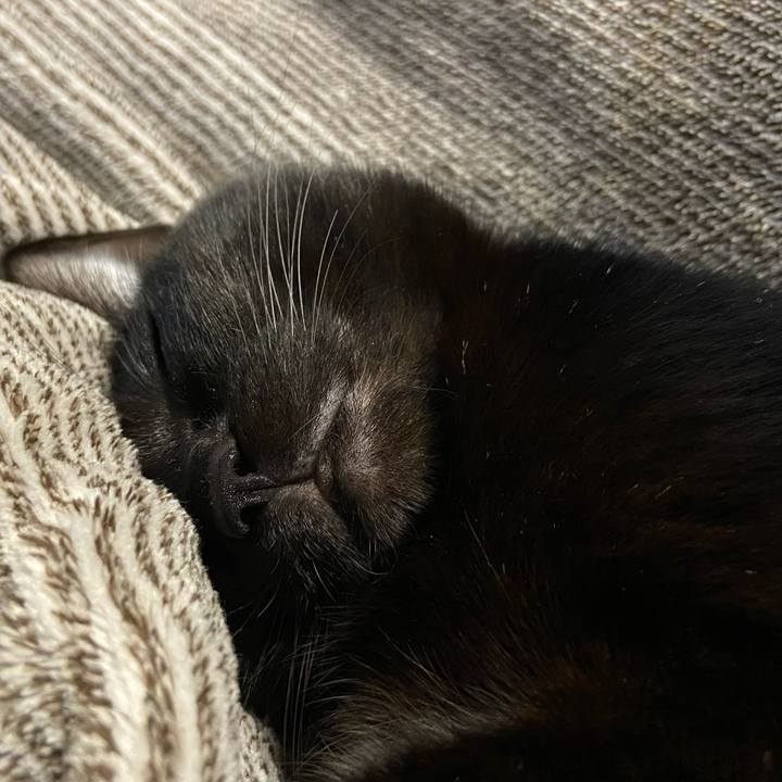 B30bbd5c bc4e 49f0 aeda 7ca3a8961a0c 1640606472539