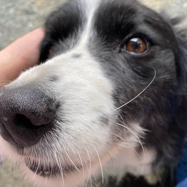 B30be55c e879 4ee6 b852 9dfa4ade4d7d 1647216397376