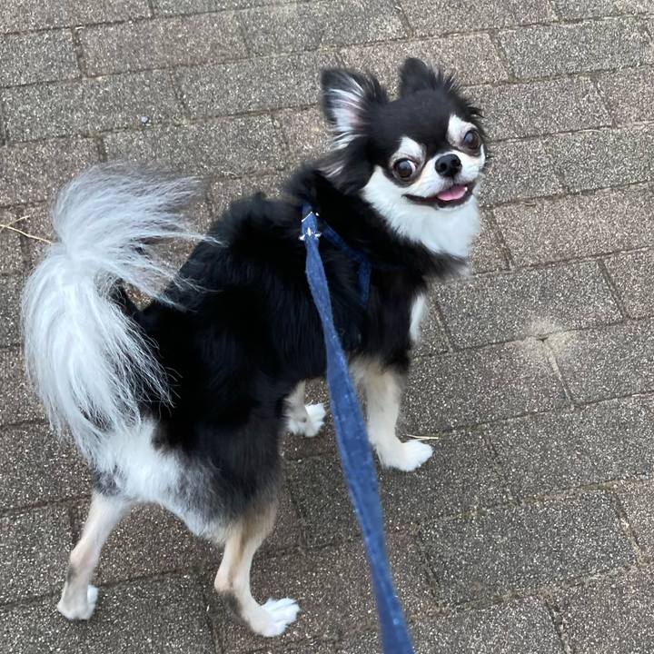 B30c1852 6e40 47bf 9de3 51dd52b85103 1657438942153