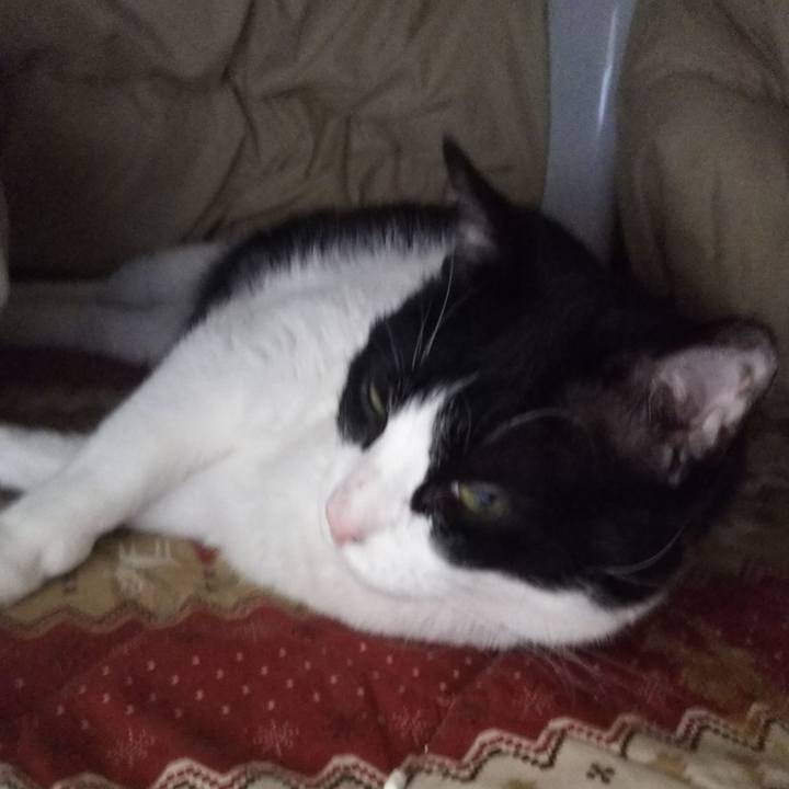 B30c543a 9d7d 4aea 8685 e57d227b576f 1552013750856