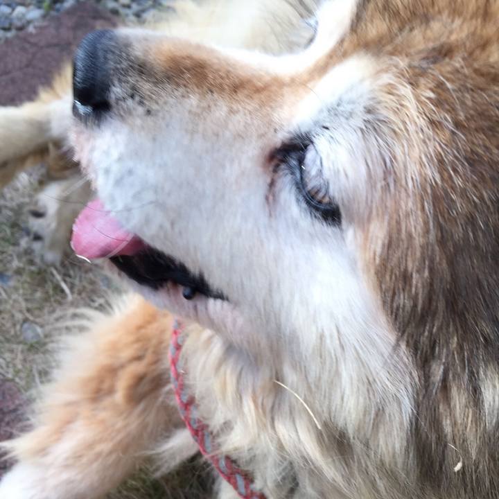 B30c6f1d ad7a 4225 ba1b f50c2ce110d8 1561876761321