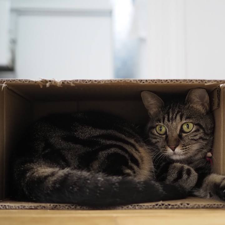 B30c807c 92b9 4d4d b930 f4c59e8769f7 1628913171688