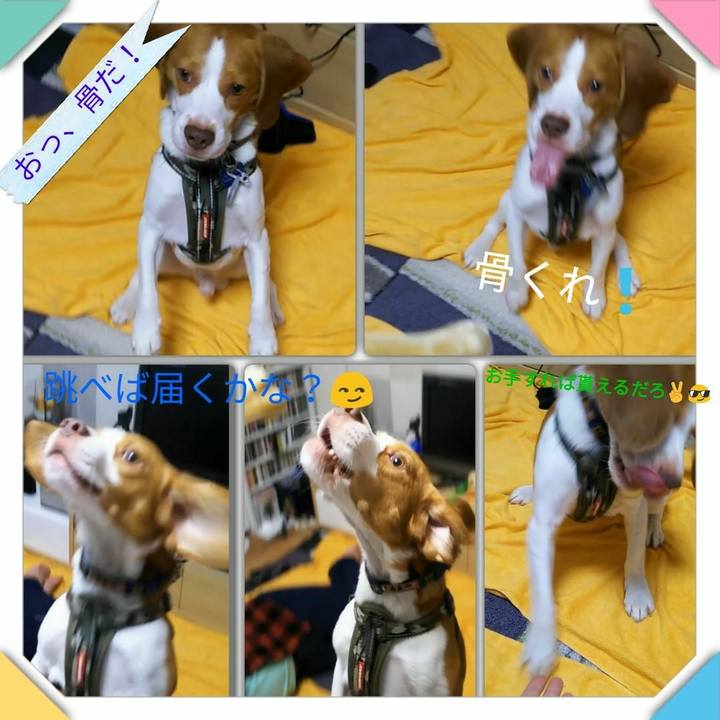 B30ca458 66e2 4d47 a942 71c968e71876 1538209861373