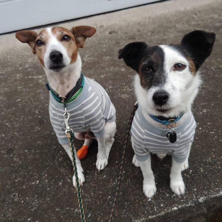 B30cec18 fd85 4a6d bde0 965c1e21840b 1762986925892