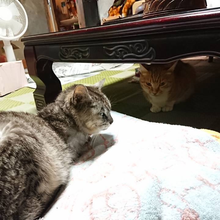 B30d35b3 6bdc 4fb8 84fb f822ea3fa570 1595933166014