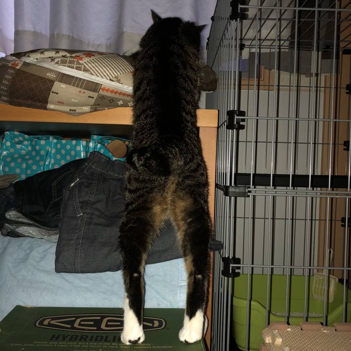 B30d3e0c 0f2d 43b8 ad73 e96a58c08e11 1530644915192