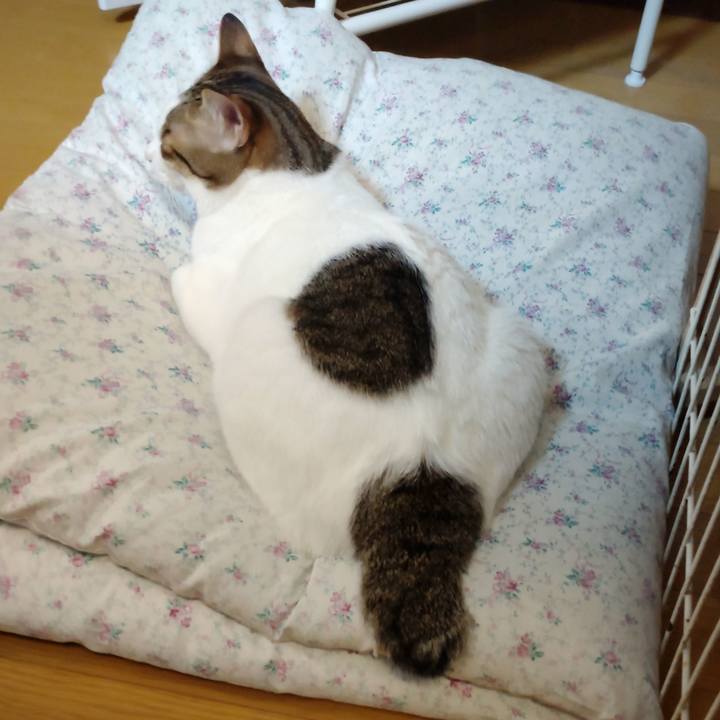 B30d471b 38df 454f 933b c01e9b6d2e93 1710843436687