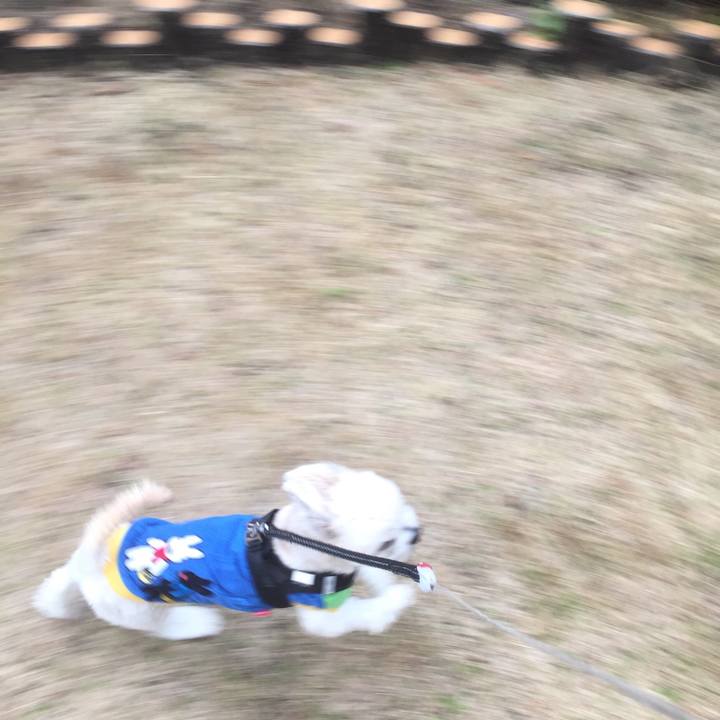 B30d9d83 d53e 4dbb ba6c 7cefac410c55 1512127462119