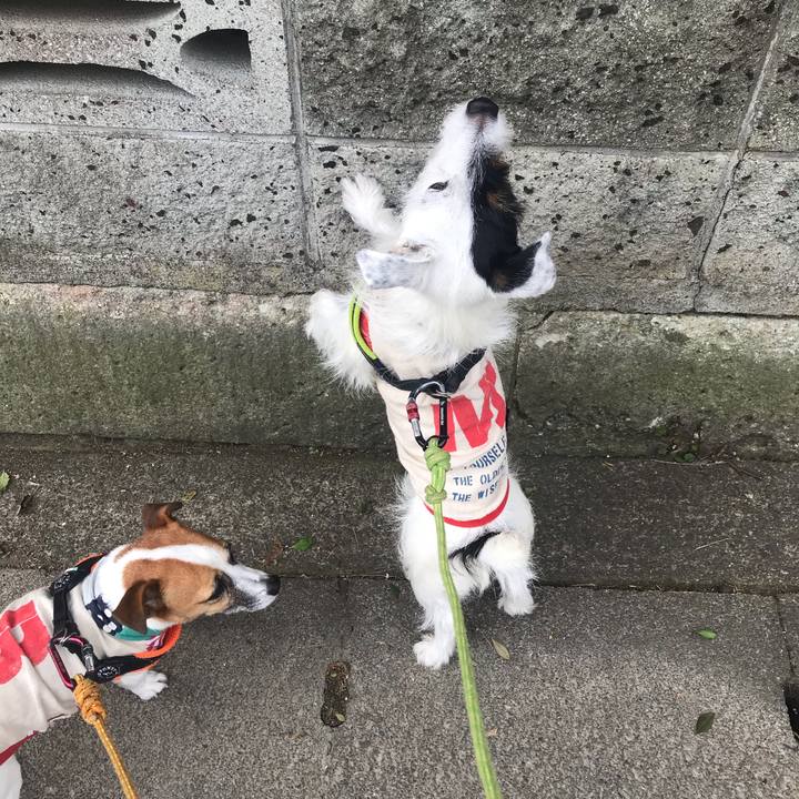 B30db4a4 5b05 4ce0 8f5b 2309abde9706 1538613545156