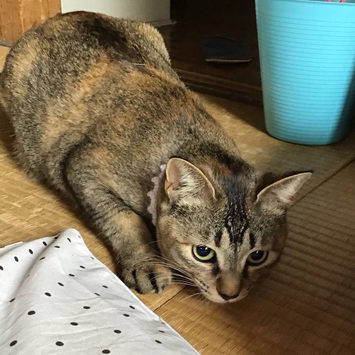 B30de99b 5d8d 4d27 807d cd9f8b9daa35 1587959891244