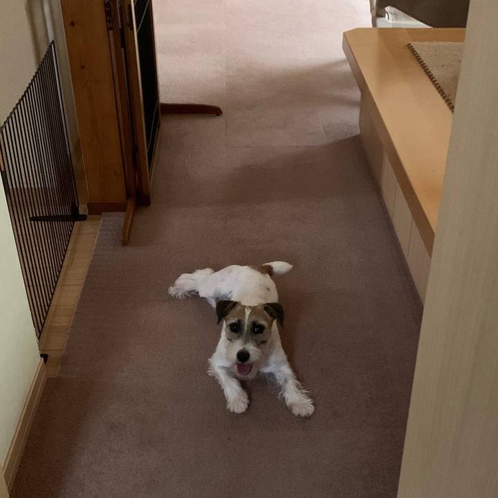 B30df5b1 2195 4fca 85ea 536f26902124 1602836867948